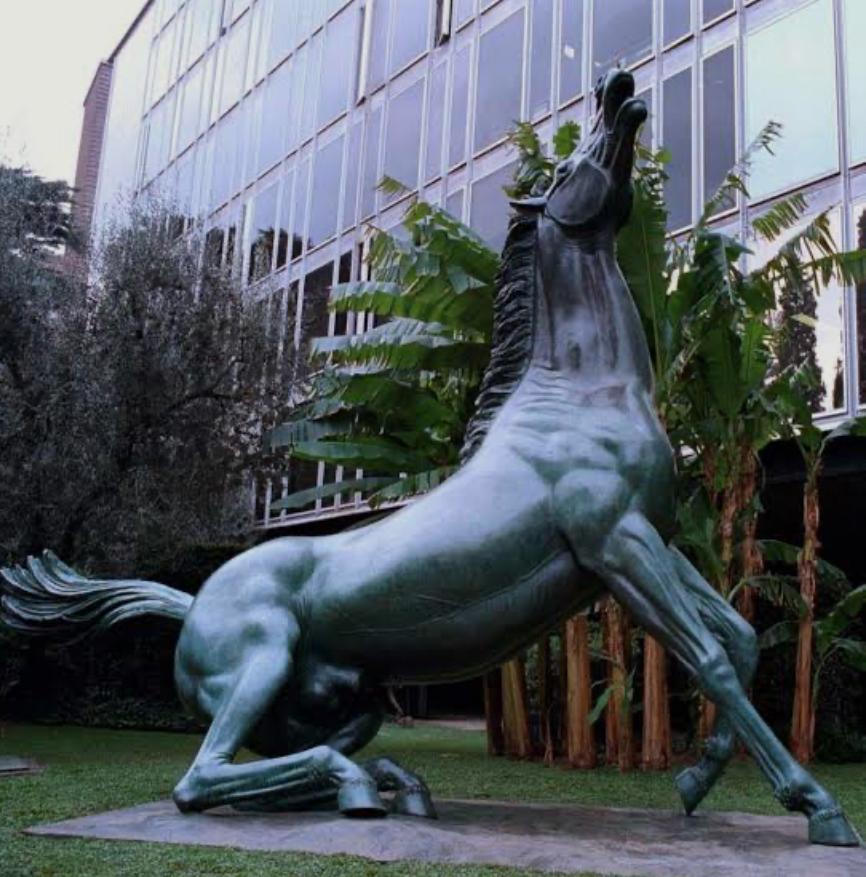 RAI - ilGraffio - Monica Macchioni.jpg